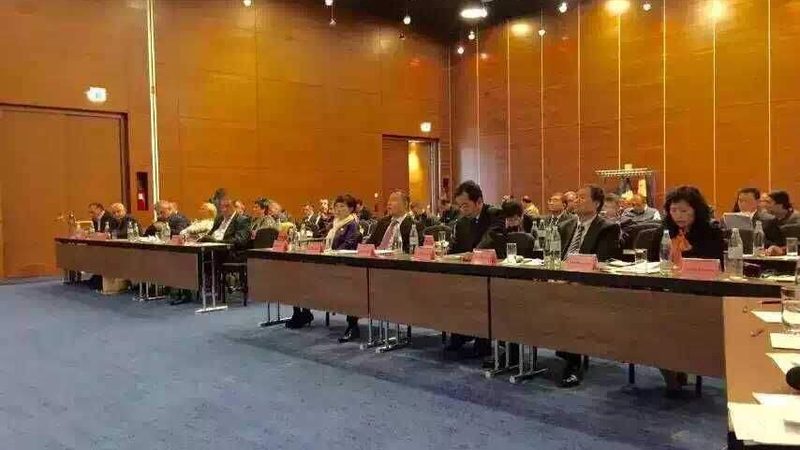 评审专家费用之谜：揭秘企业决策背后的成本考量