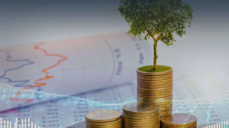 IPO财务顾问公司排名背后的考量因素